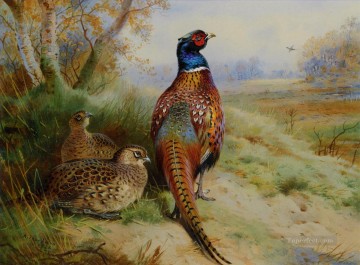 cock and hen pheasant at the edge of a wood 1926 birds Oil Paintings